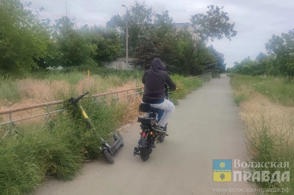     Мотобыдло, прочь: молодой отец из Волжского возмущён гоняющими по парку мопедами
