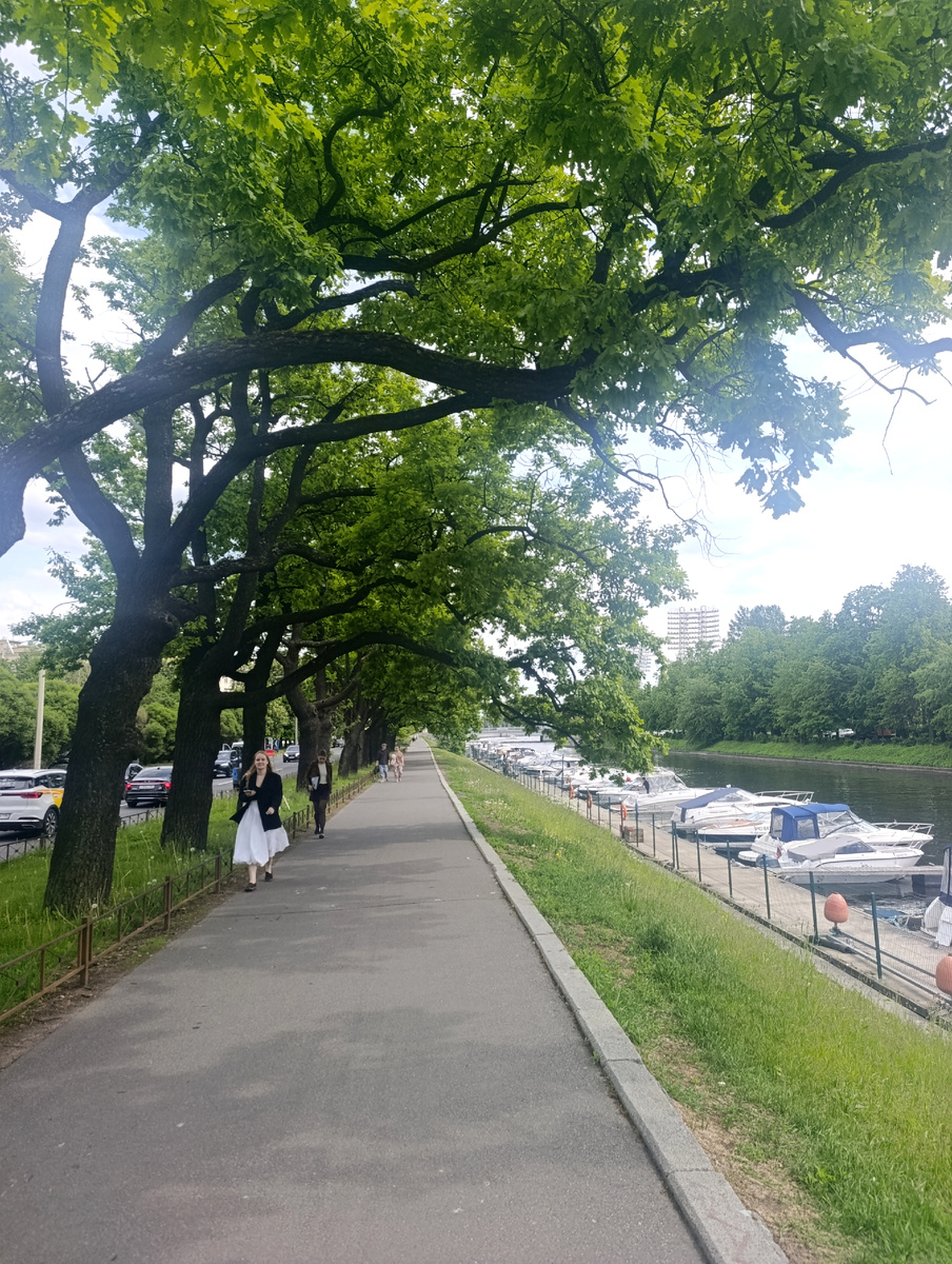 Все фото в статье - авторские. 