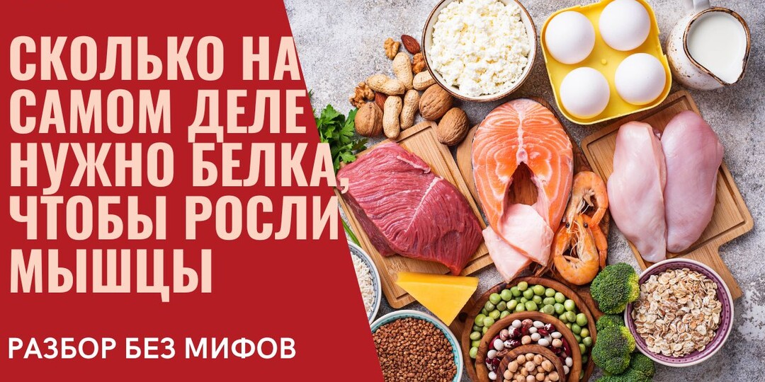 Сколько на самом деле нужно белка, чтобы росли мышцы: разбор без мифов