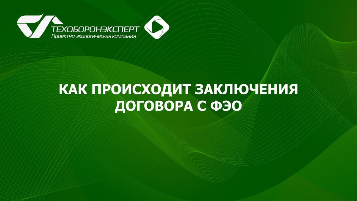 Как происходит заключения договора с ФЭО.