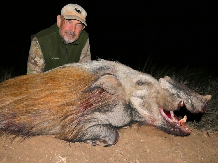     Фото: africahunting.com