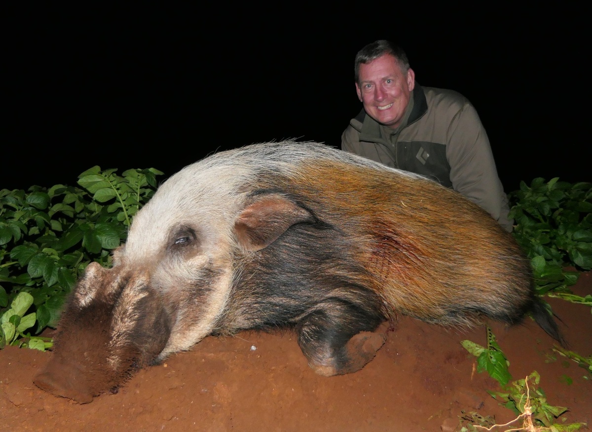     Фото: africahunting.com