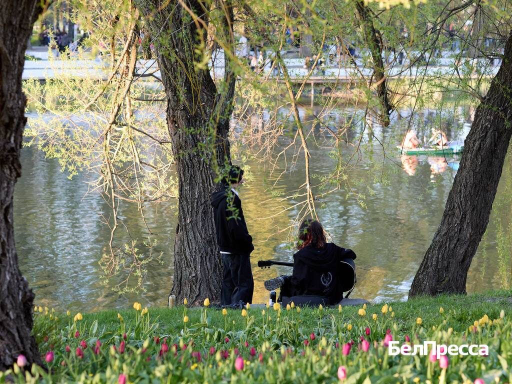     Фото: Елена Журавлёва (архив)