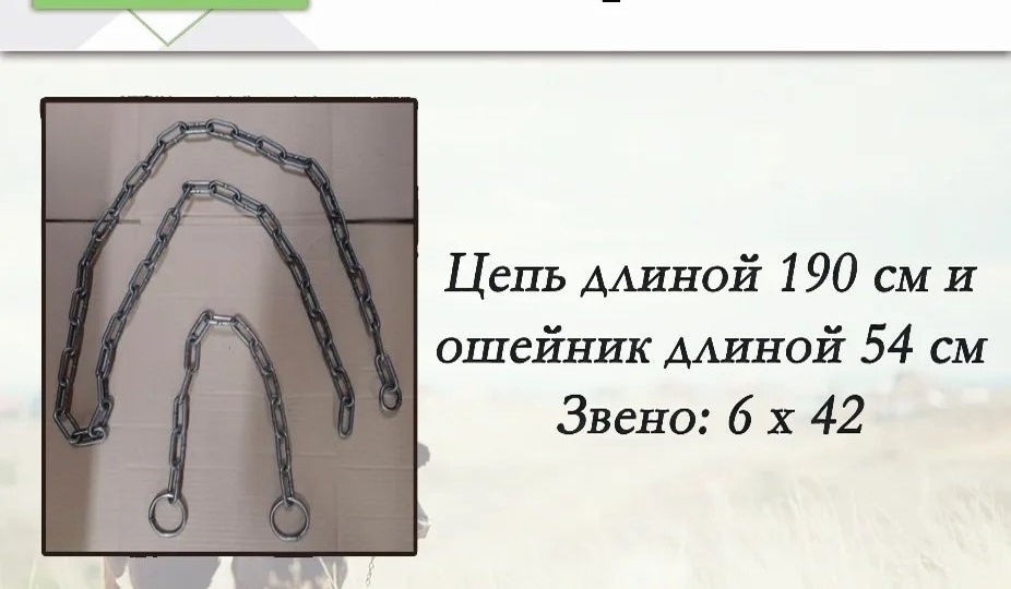 🐮 Зафиксируйте корову без травм: цепь привязи 190 см + ошейник 54 см