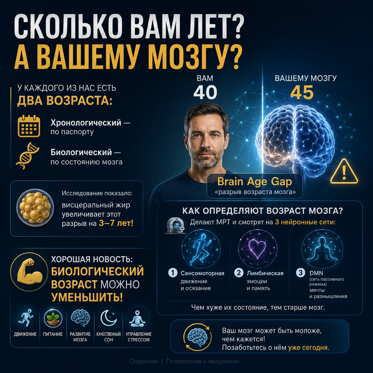 Инфографика Brain Age Gap (разрыв возраста мозга)