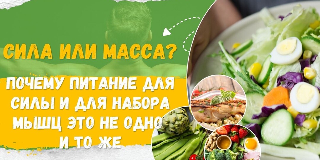 “Сила или масса?” — почему питание для силы и для набора мышц это не одно и то же