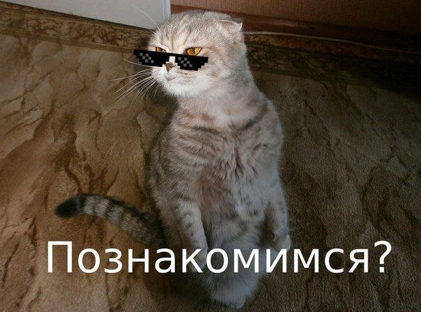 Да