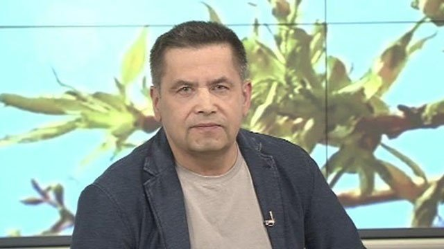 Фото из открытого источника. 