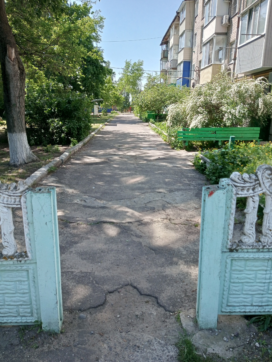 Наш старый дворик. Вот в эти палисадниках справа котики и ждут меня по утрам.Вторая скамейка - это мой подъезд.