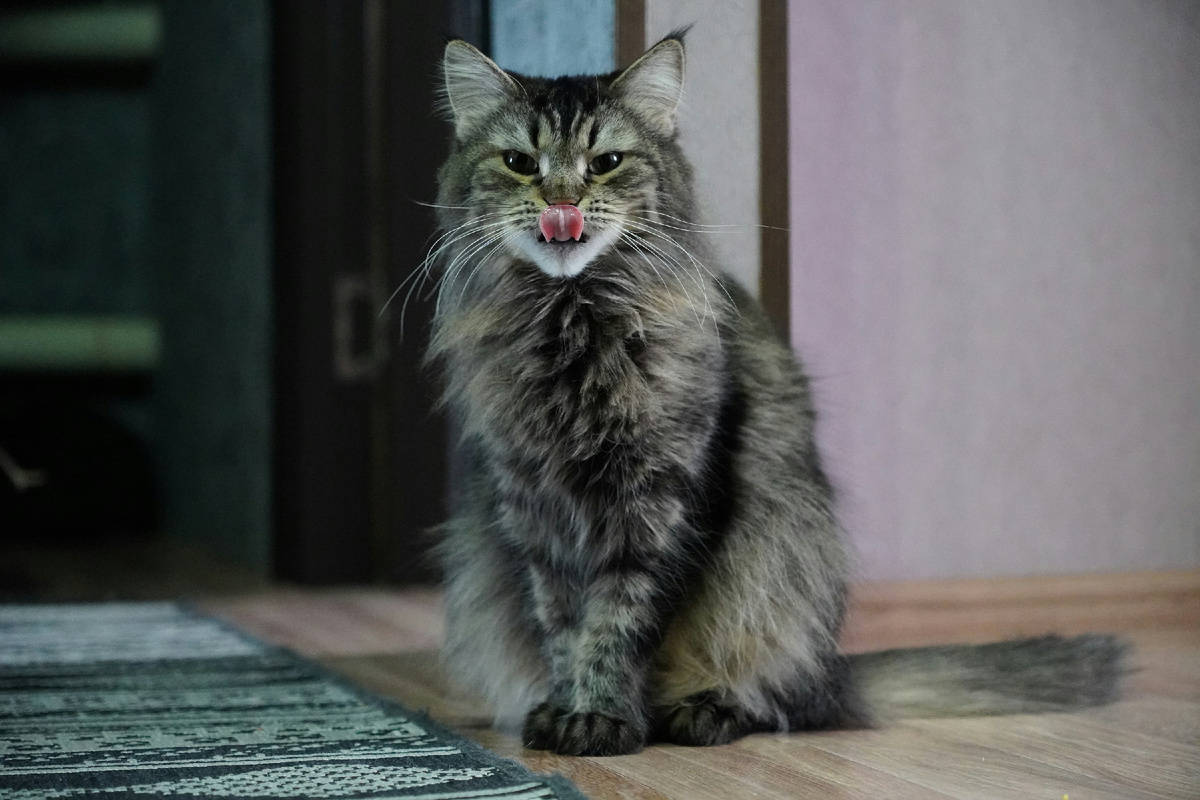 Photo by Михаил Литонов on Unsplash