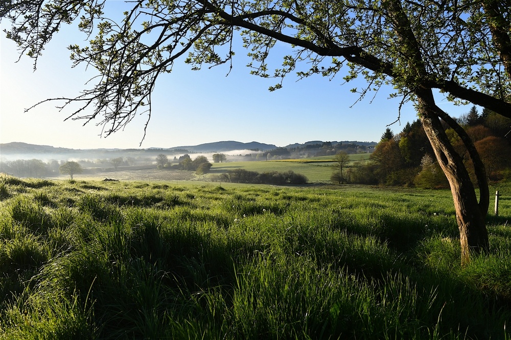 @liverouge 3/Shutterstock