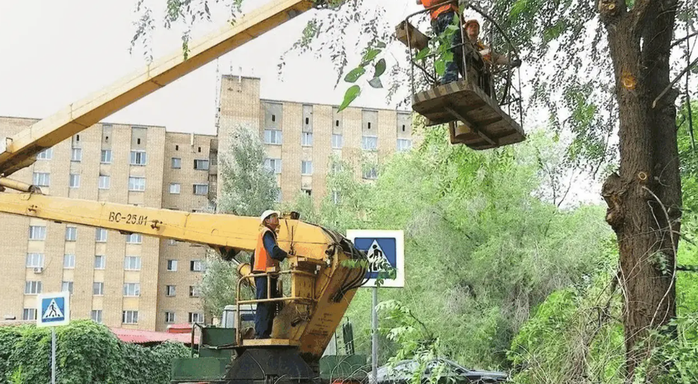    фото: администрация Самары