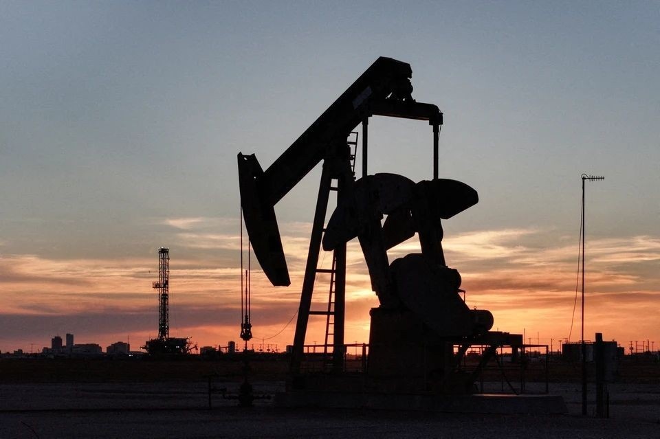    Новак: цена барреля нефти в $80 устроила бы и потребителей, и производителей REUTERS