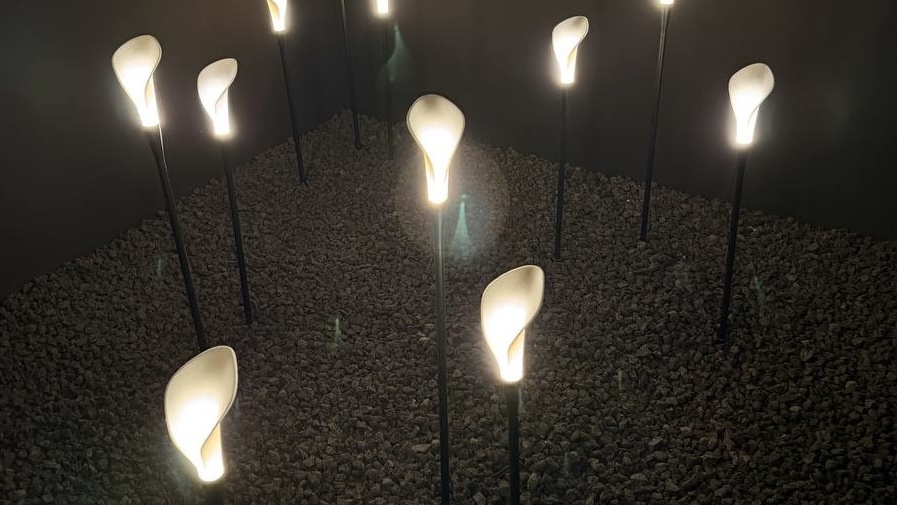 Bloom collection lighting 