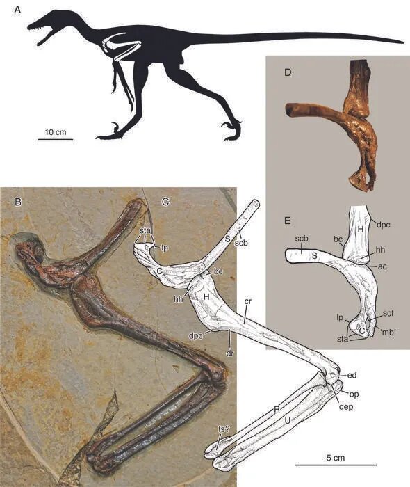    Zhou et al (2026)