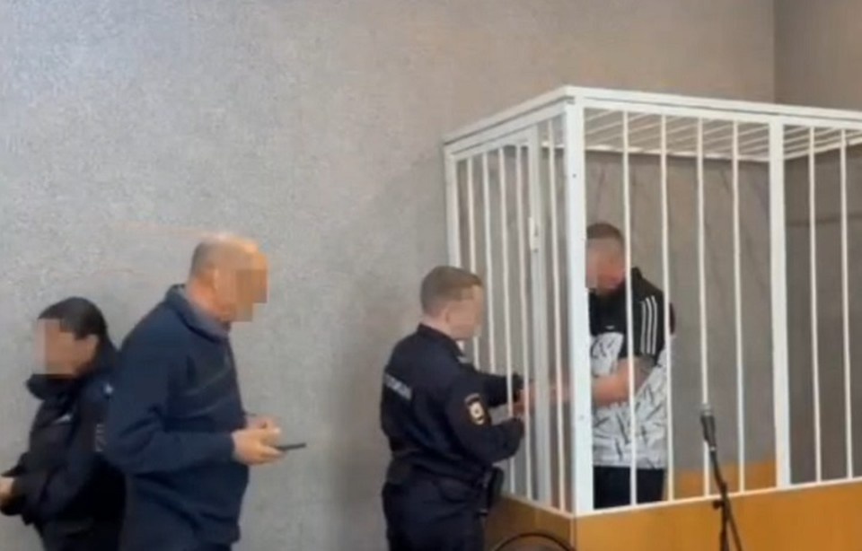    Суд Ярославля взял под стражу мужчину, которого подозревают в покушении на грабеж. Прокуратура Ярославской области