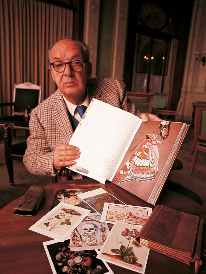 Владимир Набоков. 1969 год. Изображение: Wikimedia Commons / Public domain