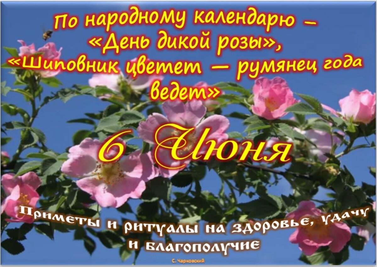 Встречаем новый день