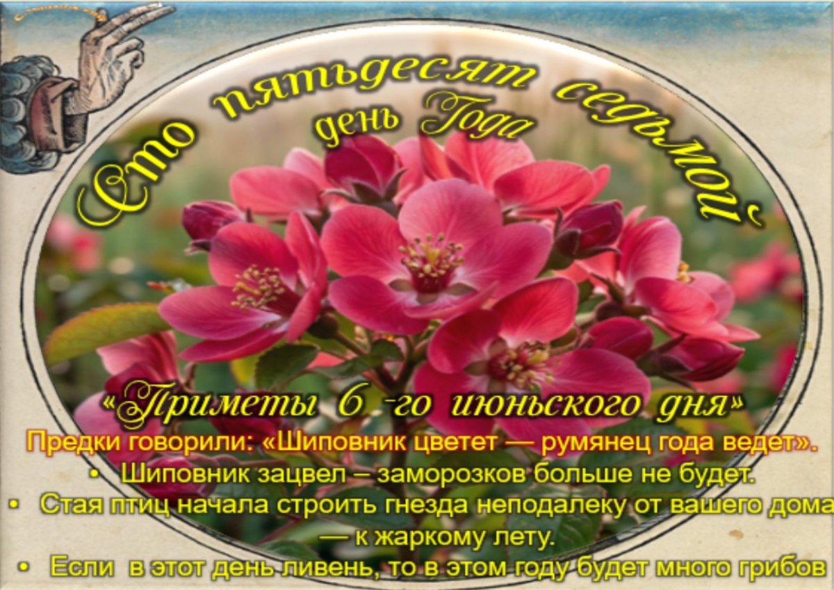 Встречаем новый день
