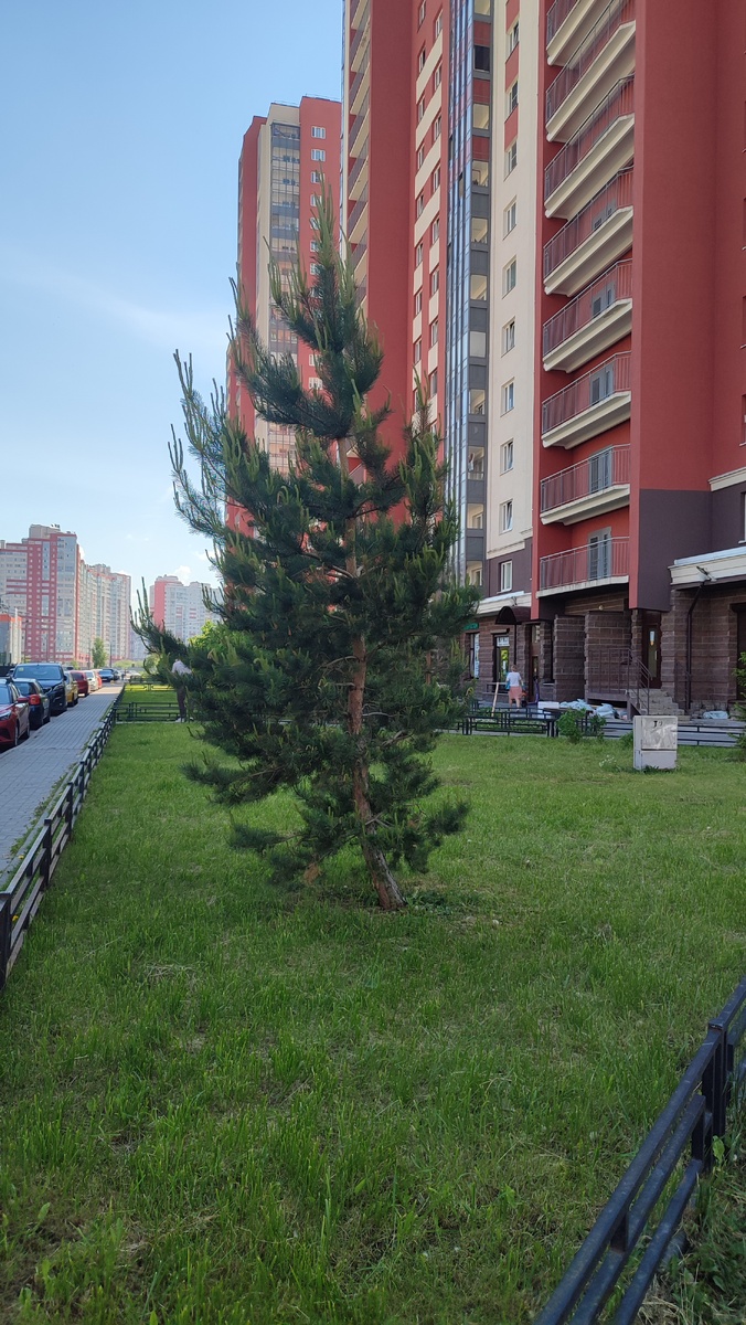 Пока ждала приёма, любовалась ухоженными дворами жилого комплекса