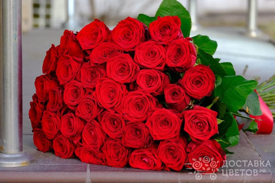 Фото из интернета