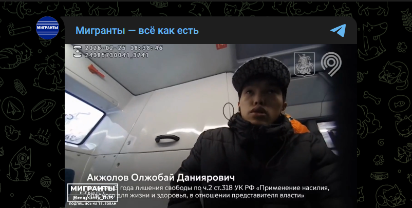 Фото: Telegram-канал "Мигранты - всё как есть"