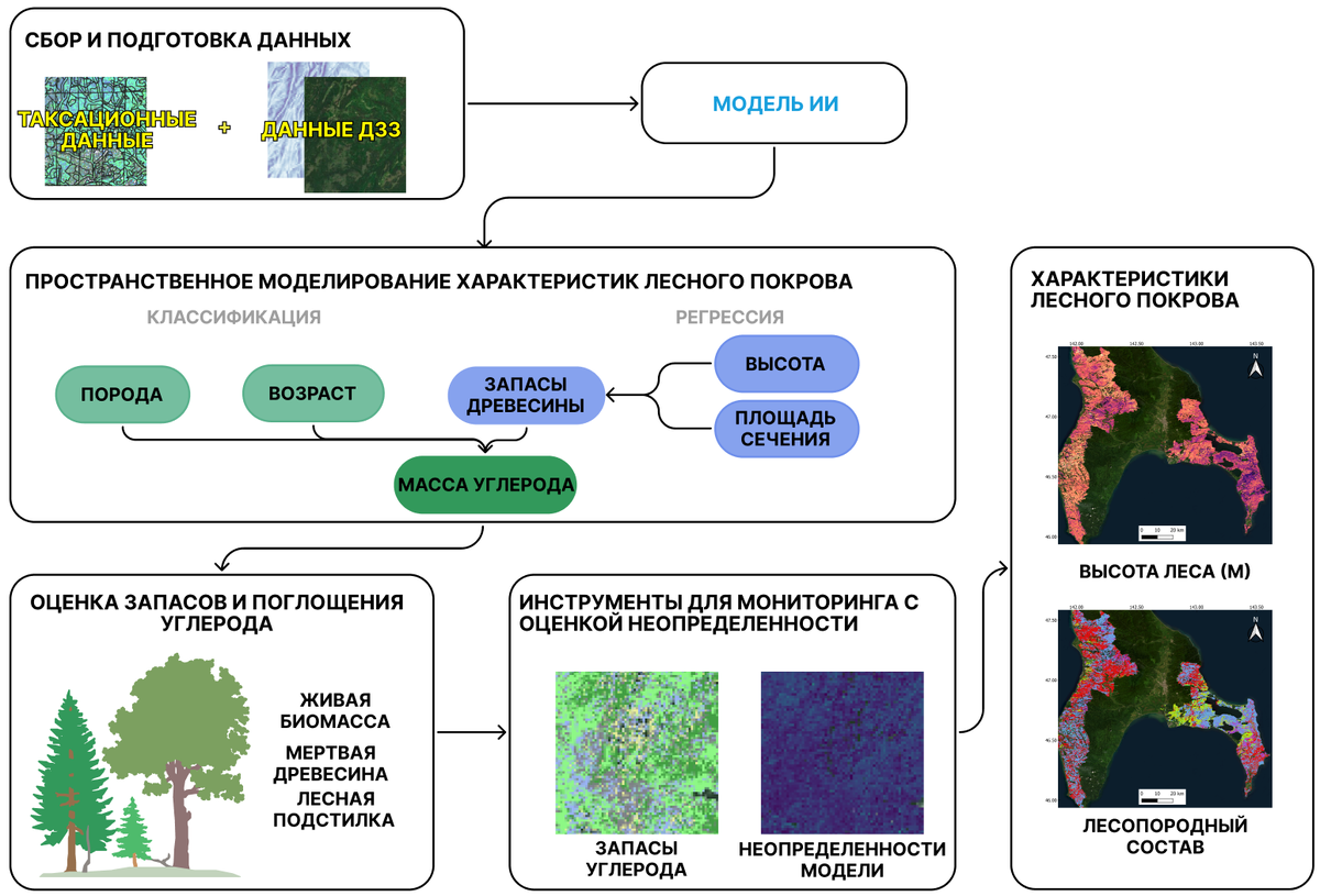 Графическое резюме исследования. Источник: Usman Tasuev et al. / Scientific Reports, 2026