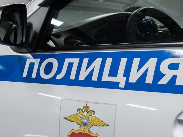    Фото: пресс-служба мэра и правительства Москвы/Максим Мишин