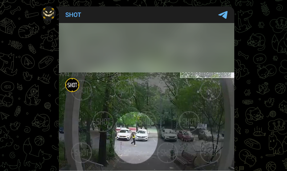 Фото: Telegram-канал "SHOT"