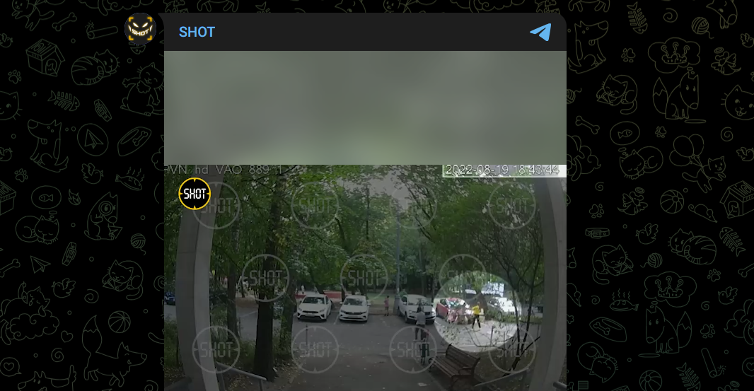 Фото: Telegram-канал "SHOT"