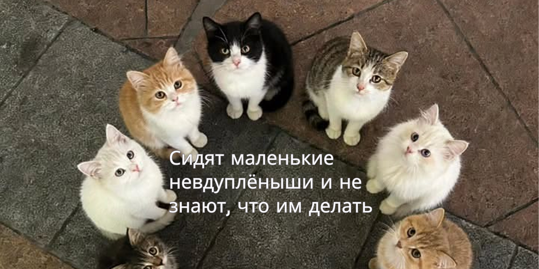 Вопрос к знатокам: что будет с работой, если на ответственного за всё вдруг упал кирпич