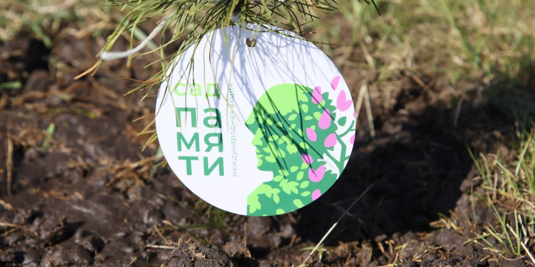 Чтобы вырастить здоровый урожай, нужно сначала вырастить здоровую страну: ЭТО изменило мой взгляд не только на природу, но и на людей