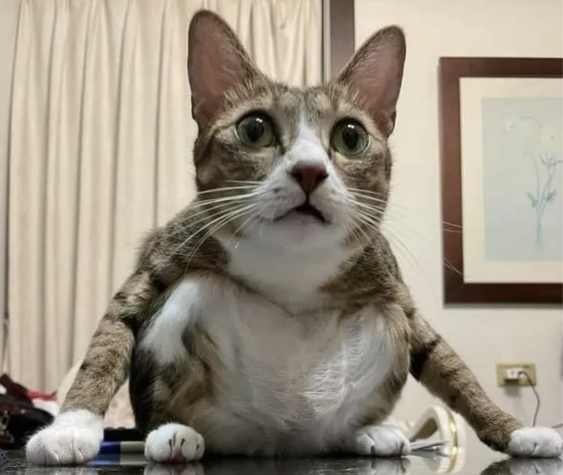 -2