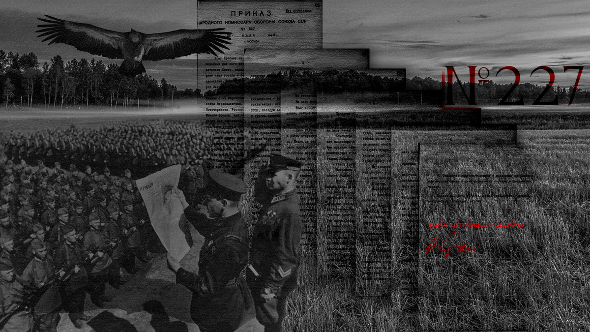 Коллаж семинара: Грифы и приказ № 227