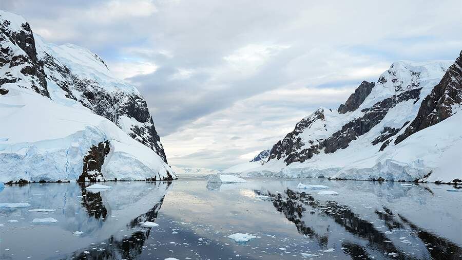    Фото: Global Look Press/Yang Shu