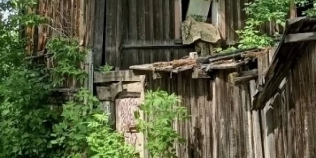 Нашедшая тело младенца жительница Кировской области рассказала о трагедии