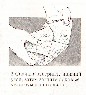 Как хранить плоды, грибы и ягоды