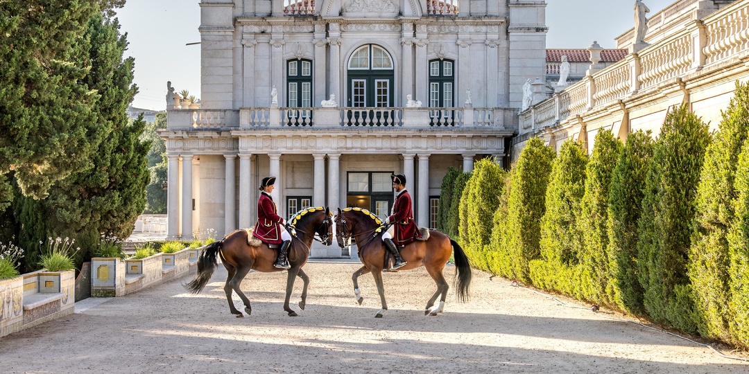 🐎 КОННОЕ СЕРДЦЕ ИБЕРИКИ