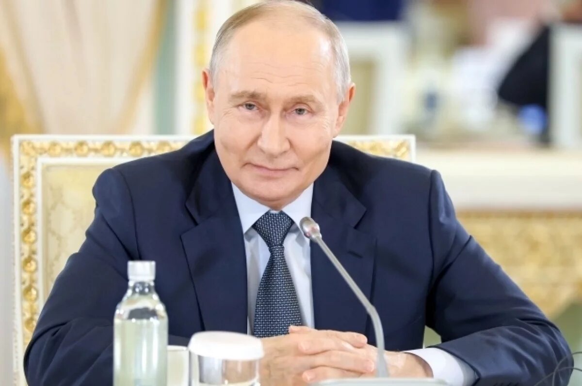    Путин: БПЛА не были бы угрозой при вовремя принятых решениях