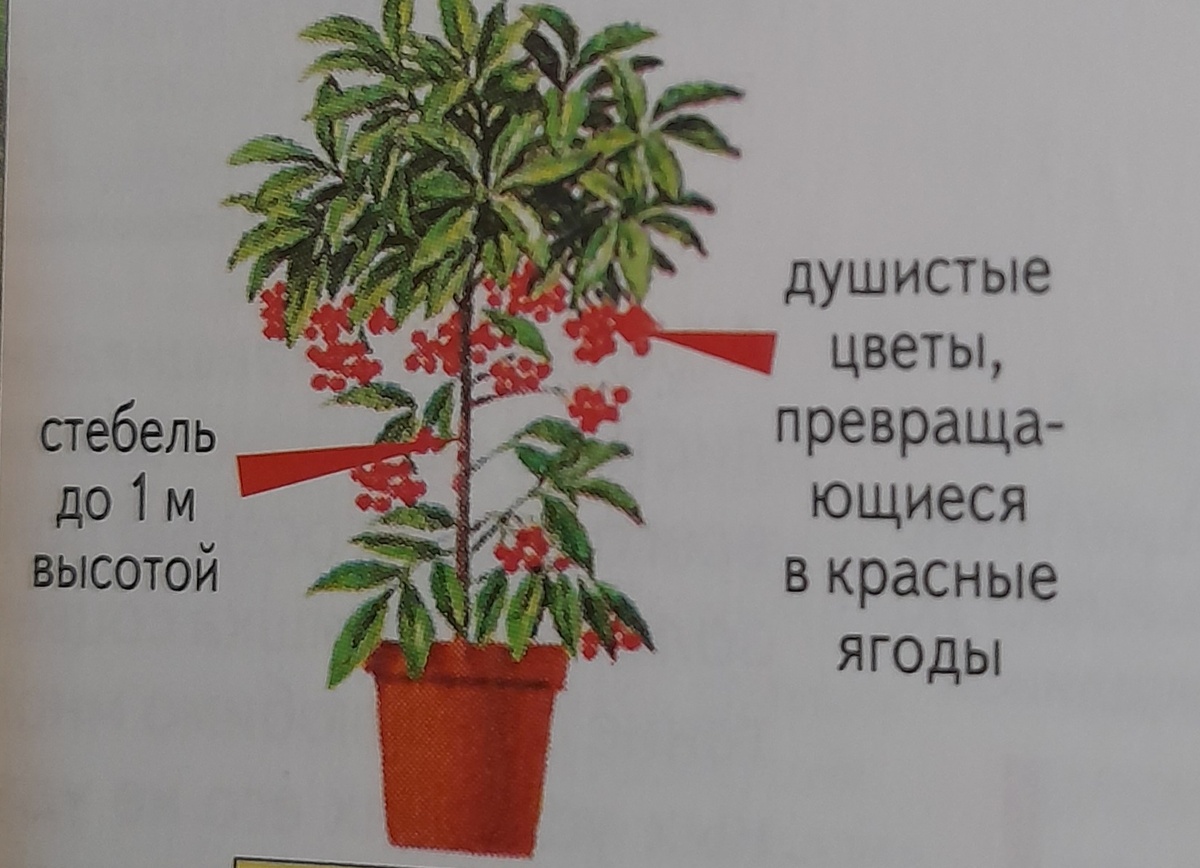 Фото автора канала