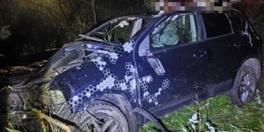 Врезались в зверя. За два дня в ДТП с лосями пострадали четыре человека