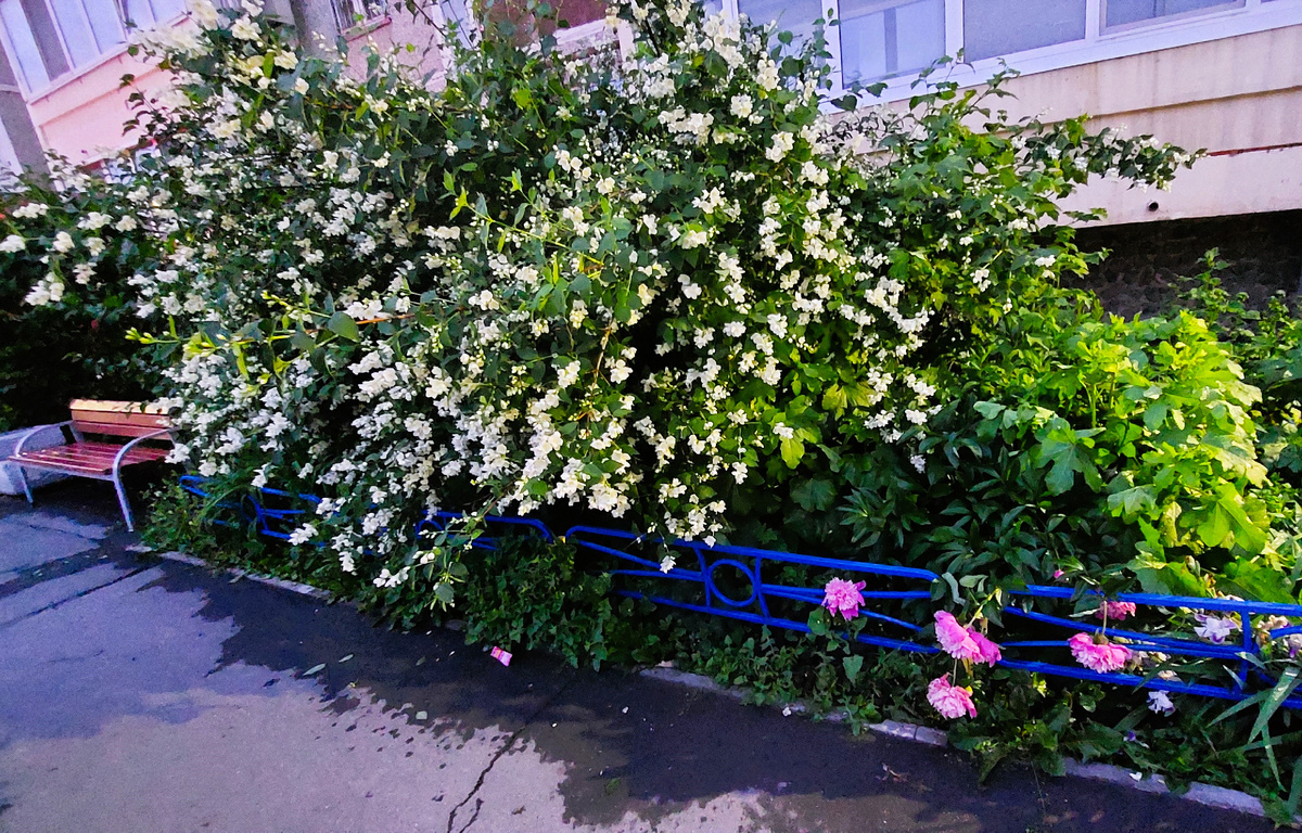 фото автора