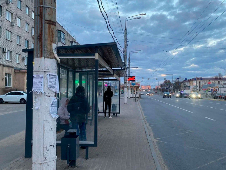     фото: екатерина лукашова / мк черноземье