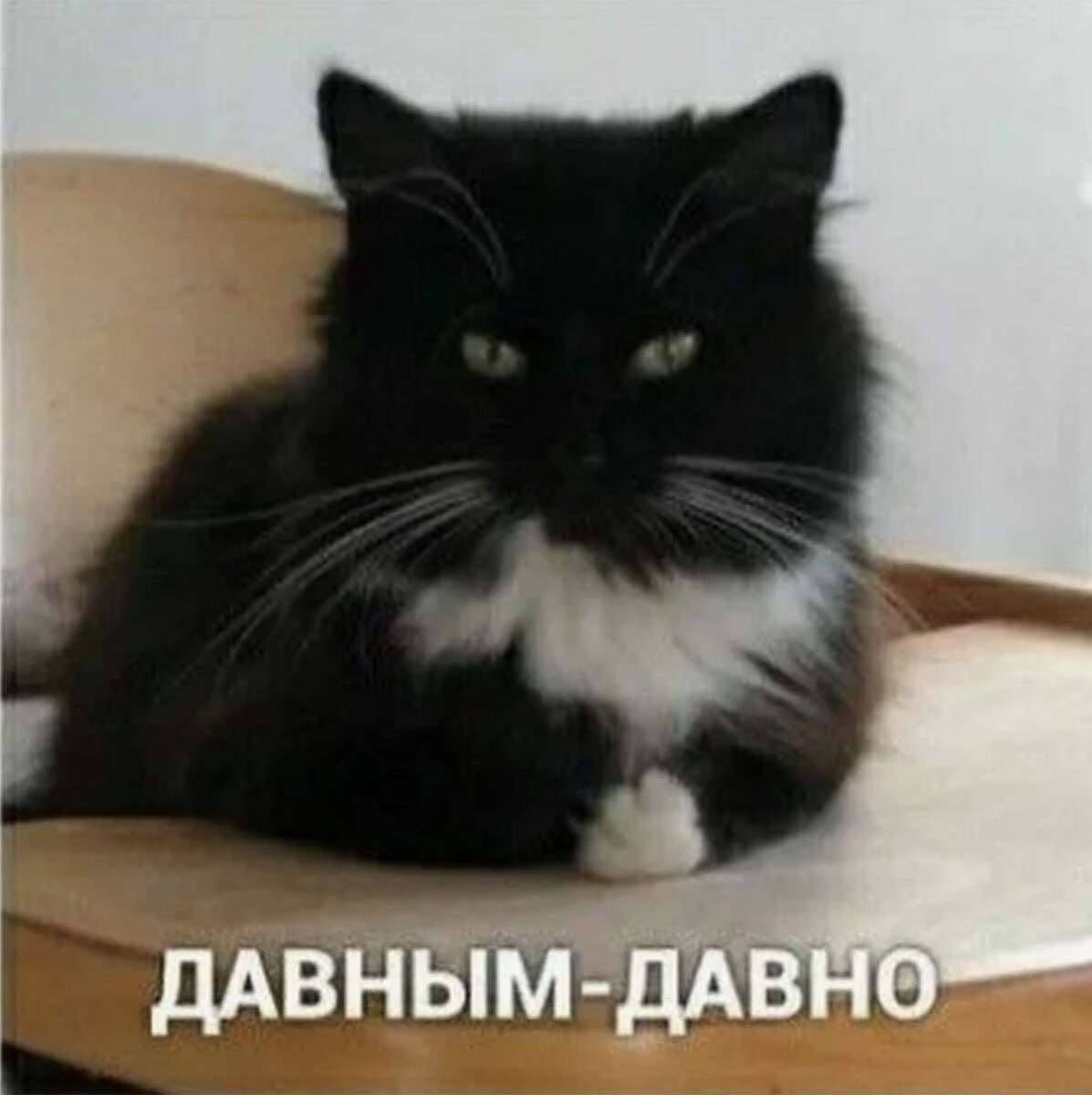 источник Яндекс-картинки