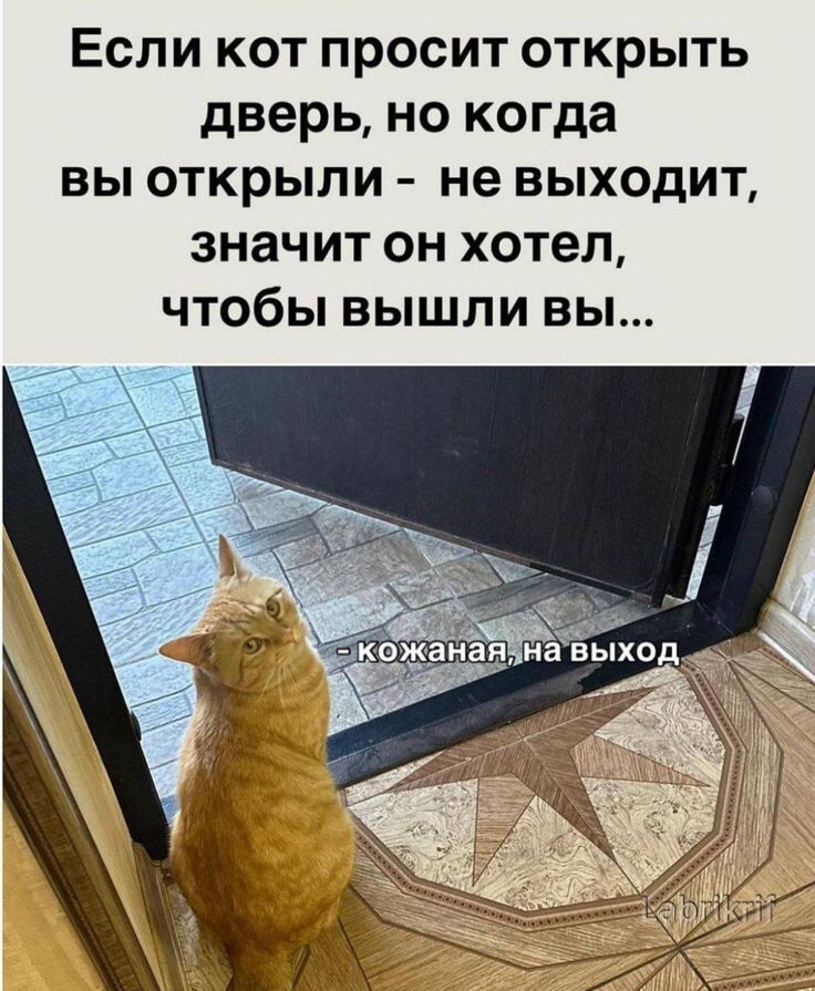 источник Яндекс-картинки