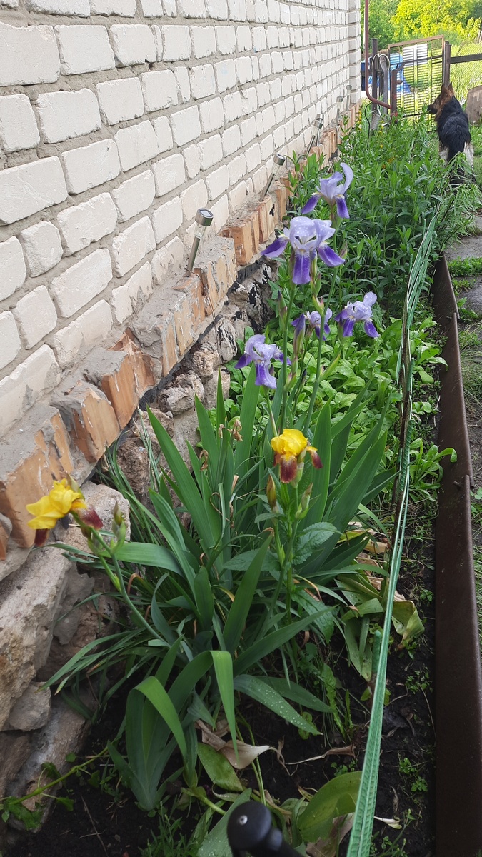 Фото из личного архива 