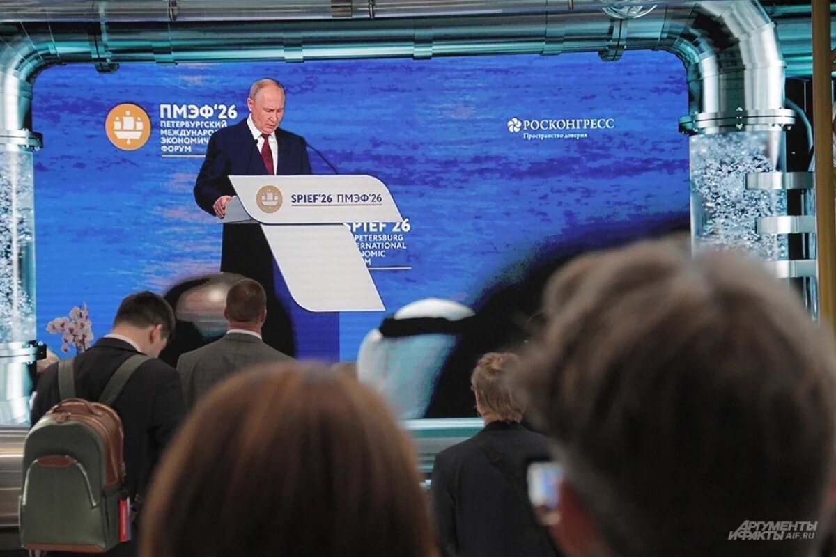   Заигрался в Рэмбо: Путин дал жесткий ответ на хамское письмо Зеленского