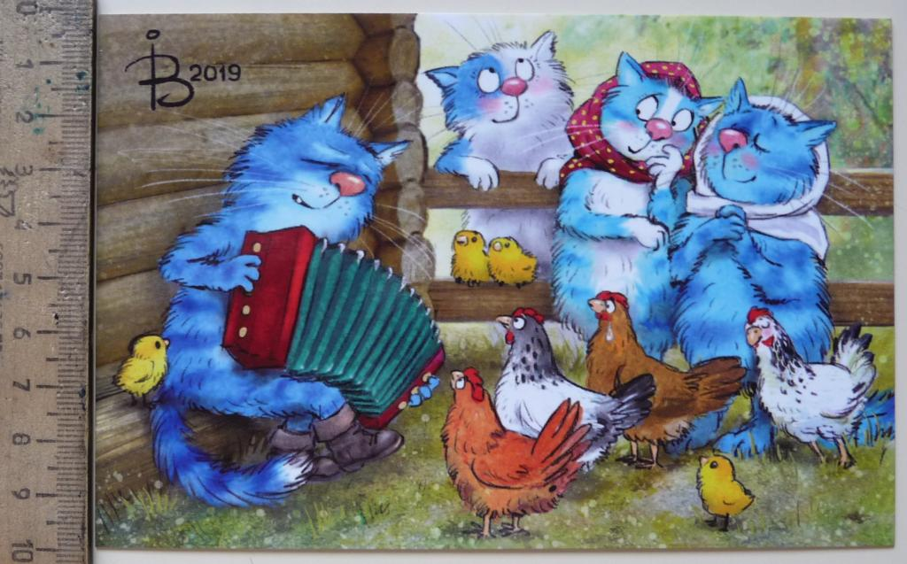 очаровательные коты Рины Зенюк