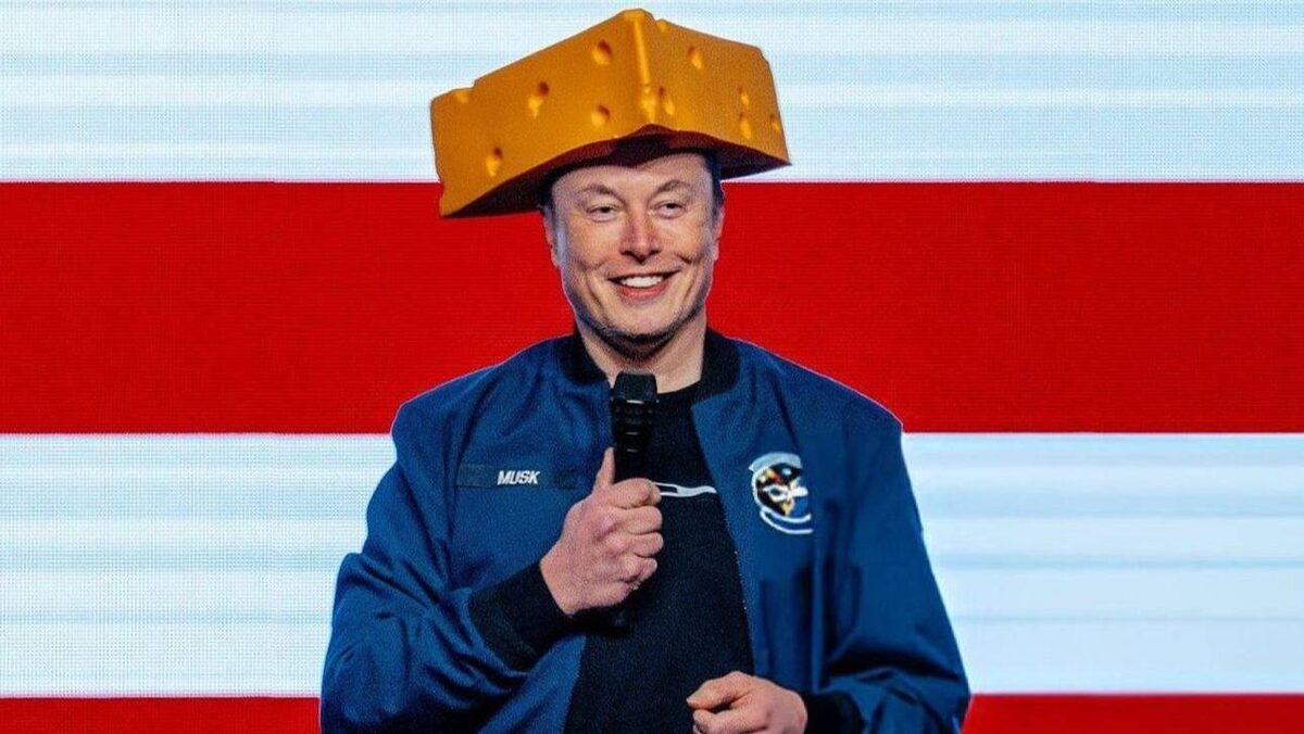    Elon Musk / x.com/elonmusk