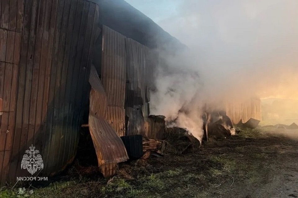    150 тюков сена сгорели в сенохранилище на Камчатке ГУ МЧС России по Камчатскому краю